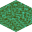 boreal